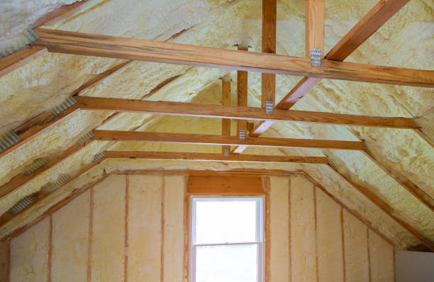 Best Insulation Maintenance and Repair in Spring Lake, MI