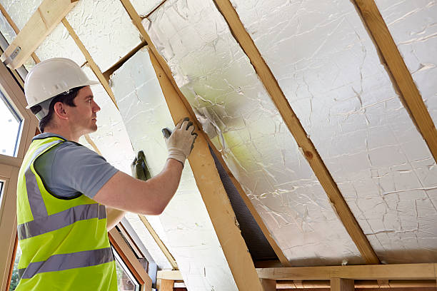 Best Insulation Maintenance and Repair in Spring Lake, MI